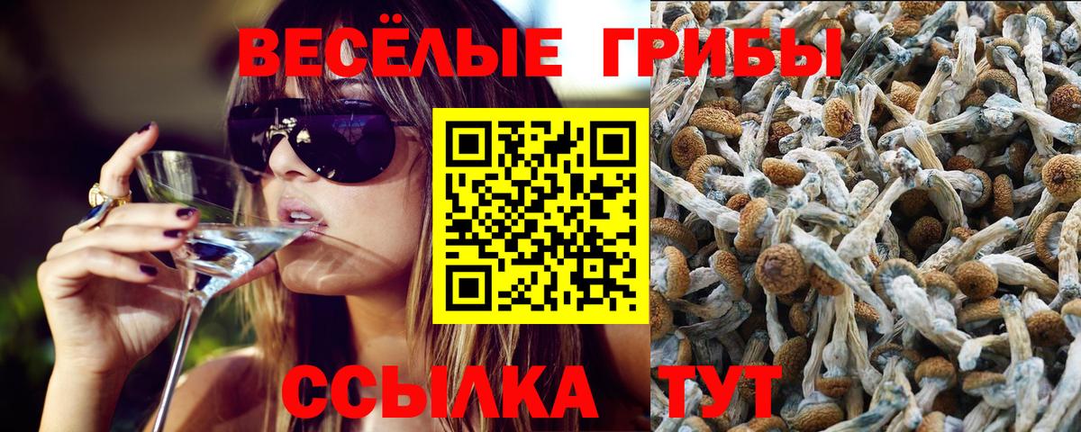 Псилоцибиновые грибы мицелий  Вход с VPN  Томск 